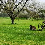 בית אירוח La Ferme Du Grand Bois *