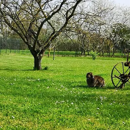 Homestay La Ferme Du Grand Bois *