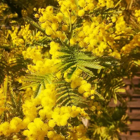 La Ferme Du Grand Bois Mouterre-Silly