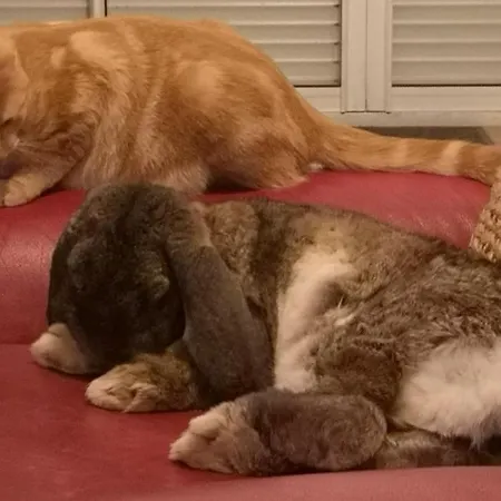 La Ferme Du Grand Bois