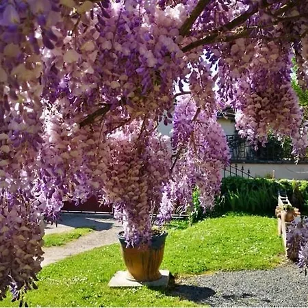 La Ferme Du Grand Bois Séjour chez l'habitant Mouterre-Silly