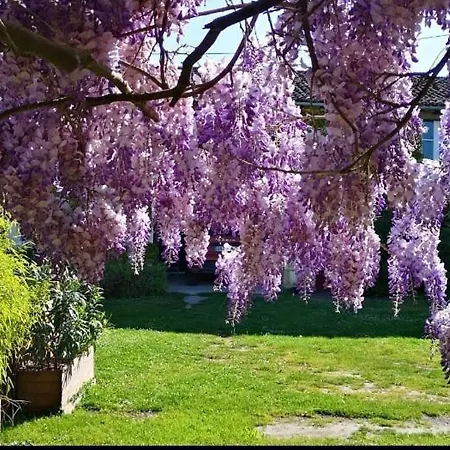 民宿 La Ferme Du Grand Bois Mouterre-Silly