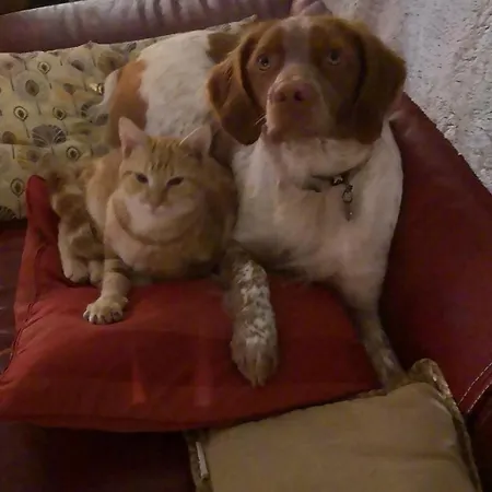 La Ferme Du Grand Bois *