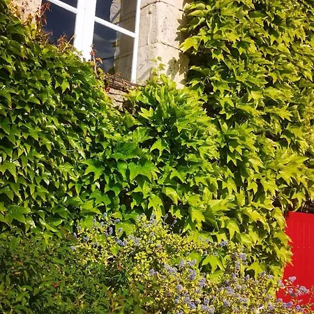 La Ferme Du Grand Bois Mouterre-Silly