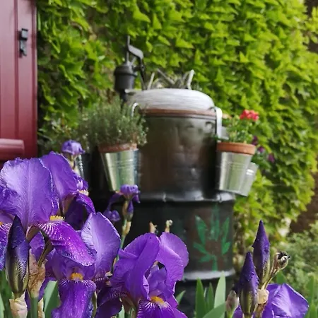 La Ferme Du Grand Bois Homestay