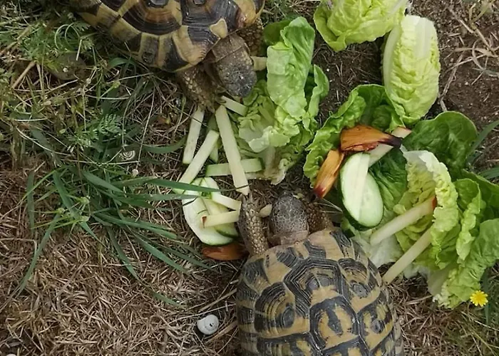 La Ferme Du Grand Bois *
