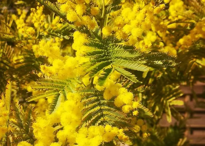 La Ferme Du Grand Bois Mouterre-Silly